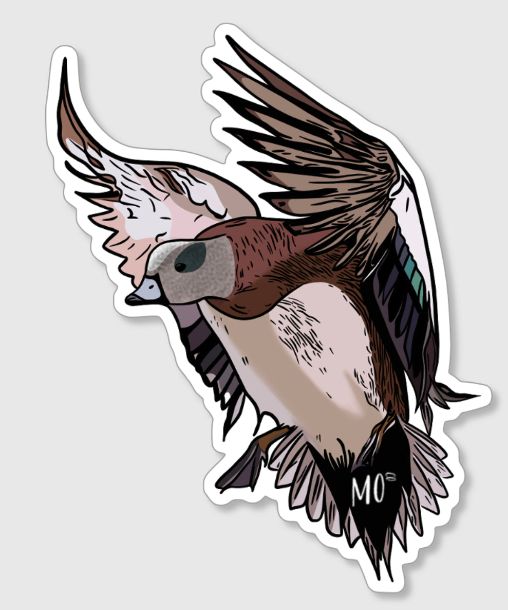 American Wigeon Sticker