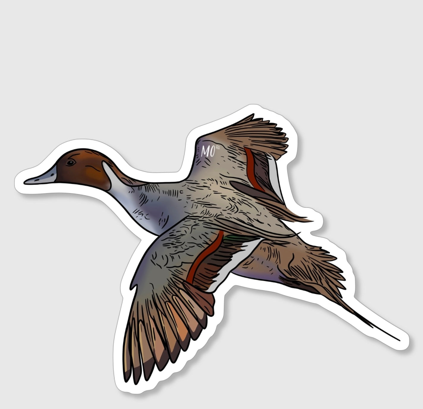 Pintail Sticker